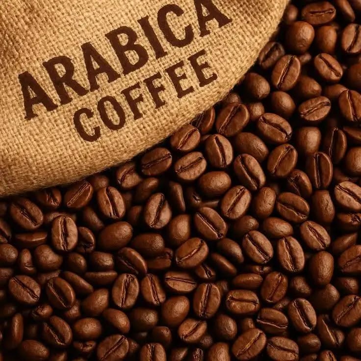 Arabica Coffee