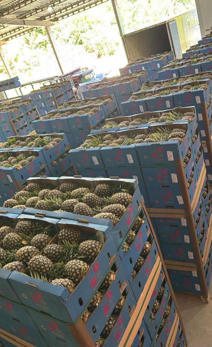 Pineapple